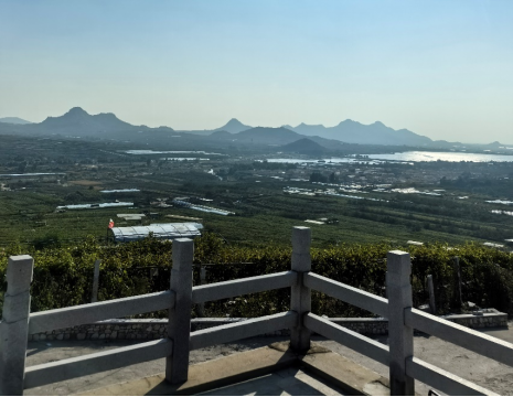 平度大澤山葡萄園引進(jìn)萊恩德土壤肥料檢測儀， 輕松掌握土壤營養(yǎng)